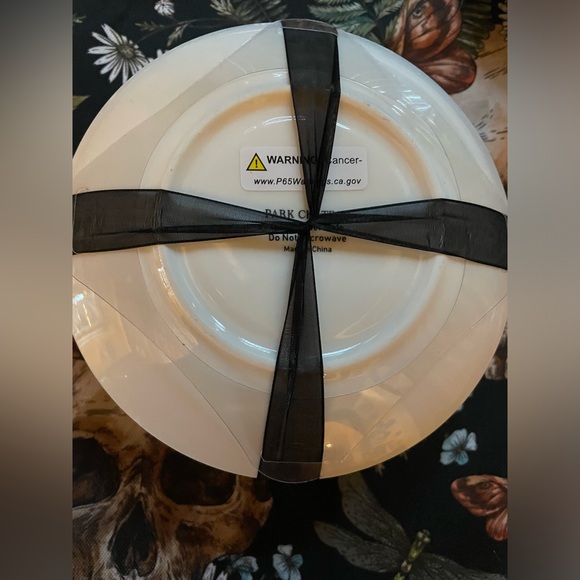 PARK CHATEAU NWOT Spider & Web Teacup And Saucer Set White & Black W/Gold Trim - Picture 5 of 10